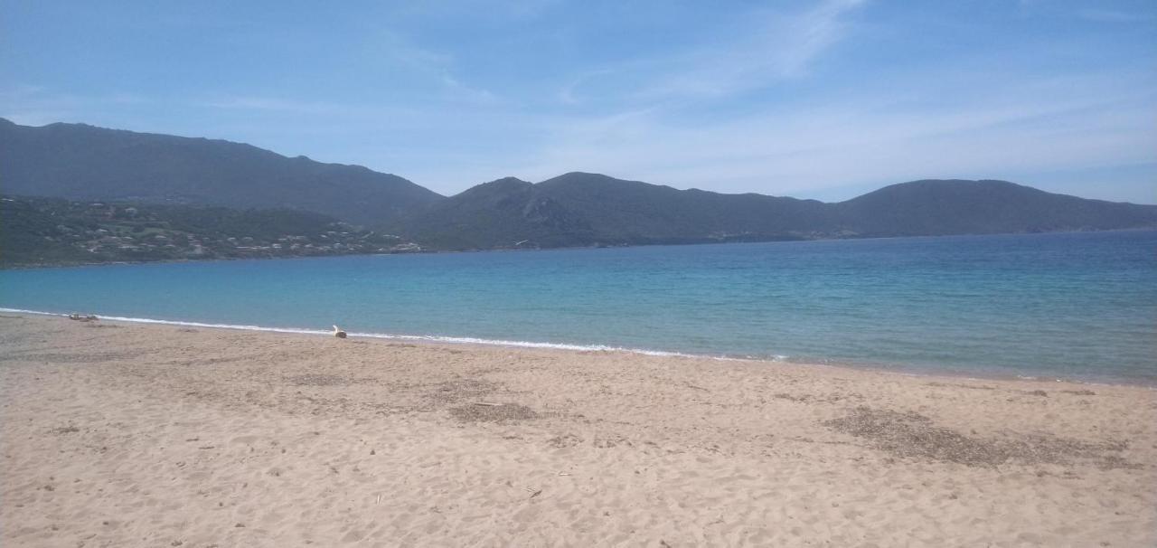 Maison De 4 Chambres De Front De Mer Corse-Du-Sud Appietto Bagian luar foto