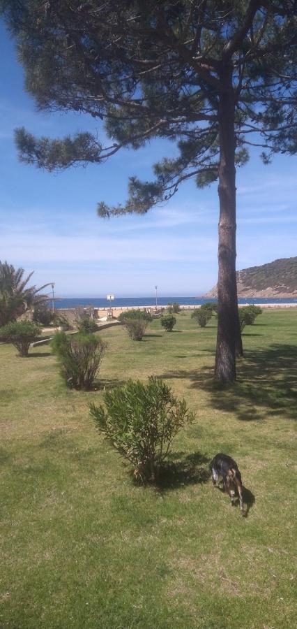 Maison De 4 Chambres De Front De Mer Corse-Du-Sud Appietto Bagian luar foto